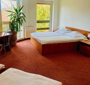 a bedroom with two beds and a window at Zajazd KAMA KOWALSKI in Skępe