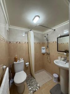 a bathroom with a toilet and a shower and a sink at Appartement Aeropuerto in Marrakesh +19 photos