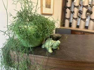 Fotografie z fotogalerie ubytování Jalynn homestay v destinaci Glen Waverley