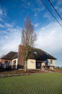 a house with a tree in front of it at Vakantiehuis 't Alkeveld in Zottegem