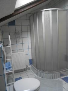 y baño con ducha y aseo. en Ferienwohnung Jutta, en Höchst