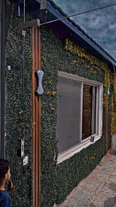 ターイフにあるجناح الراحه الفندقيの花が飾られた窓のある緑の建物