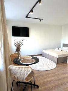 TV a/nebo společenská místnost v ubytování Dvaro central studio