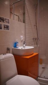 グダニスクにあるApartament Nadmorskiのバスルーム(洗面台、トイレ、シャワー付)