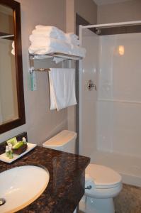 a bathroom with a sink and a toilet and a shower at Cobble Creek Lodge in Maple Creek