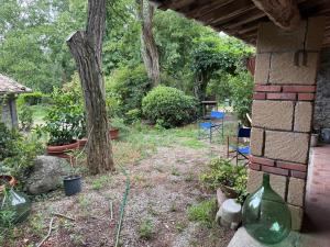 Galeriebild der Unterkunft Iorio's Country House in Montefiascone