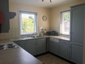 Una cocina con fregadero y dos ventanas. en Pleasant Spot Lodge, en Woolfardisworthy