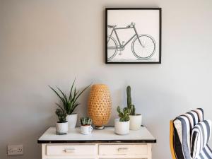 Una imagen de una bicicleta colgada en una pared con plantas. en Turnstone House, en Gorleston-on-Sea 27 fotos más