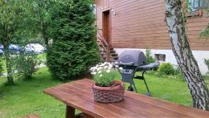 Ogród w obiekcie Domek i Apartamenty Stokrotka