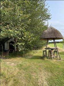 Příroda nedaleko luxury tent