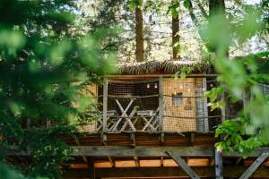 O grădină în afara Treehouse Šumava