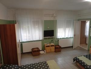 TV a/nebo společenská místnost v ubytování Pingpong Apartman
