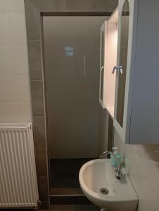 Koupelna v ubytování Pingpong Apartman