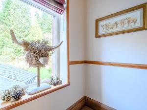 Foto sihtkohas Aberfoyle asuva majutusasutuse The Bield galeriist