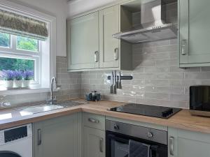 a kitchen with green cabinets and a sink and a window at Rose Cottage in Cromford