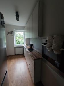 タリンにあるStylish Apartment in Lasnamäeの小さなキッチン(シンク付)、窓