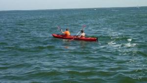 Příroda nedaleko apartmánu