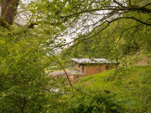 a small house in the middle of a forest at Kites Nest-Qu7488 in Highgate