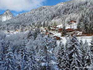 Alpine apartment in Swiss village of Torgon v zimě + 25 fotografií