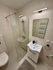 Ένα μπάνιο στο Royal Apartmani 3 +9 φωτογραφίες