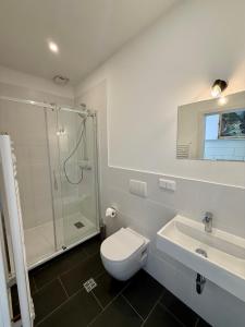 a bathroom with a toilet and a shower and a sink at Pension Üfinger Hof in Salzgitter