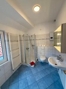 a bathroom with a shower and a toilet and a sink at Pension Üfinger Hof in Salzgitter +16 photos