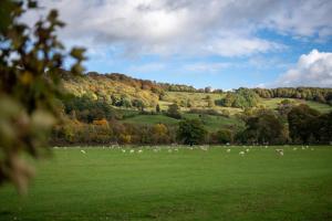 صورة لـ Wharf في كرومفورد