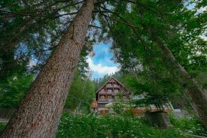 Fotografie z fotogalerie ubytování Pensiunea Vanatorul v destinaci Băile Tuşnad