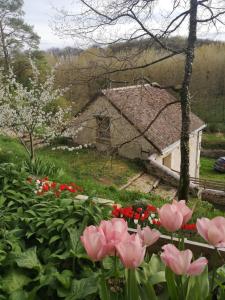a garden with pink flowers in front of a house at Cottage en nature Le Pigeonnier de la Manse in Saint-Épain