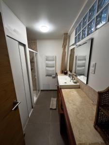 a bathroom with a sink and a shower at Cottage en nature Le Pigeonnier de la Manse in Saint-Épain