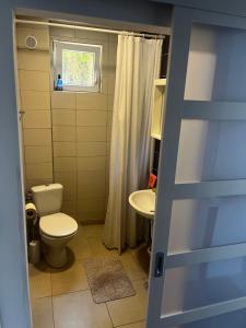 ビゴヴォにあるApartman DANのトイレと洗面台付きのバスルーム