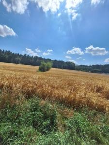 Φυσικό τοπίο κοντά σε αυτή η παραθεριστική κατοικία