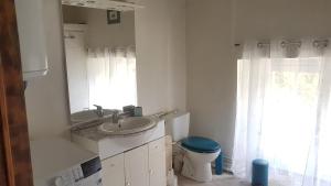 a bathroom with a sink and a toilet and a mirror at Les Ecuries de Montdoucet in Souancé-au-Perche +21 photos