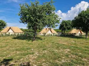 a group of tents in a field with a tree at Camp Robeko in Skradin