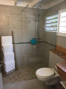 a bathroom with a shower with a toilet and a sink at Villa Saint-Martin "Guadeloupe" in Saint-François