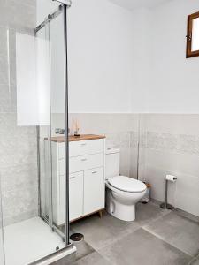 a bathroom with a toilet and a glass shower at Eneas I , II in A Pontenova