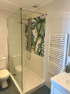 un bagno con doccia e WC di Appartement centre historique de Grasse, capitale des parfums a Grasse