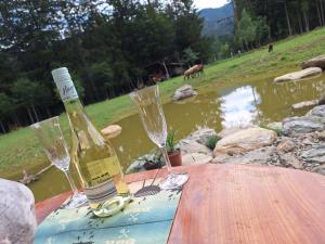 a bottle of wine sitting on a table with two wine glasses at Froschteichhäuschen - Natur und Wellness in Spitzwiesen