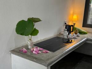 Galeriebild der Unterkunft Katie's homestay in Ðông Mỹ (2) + 287 Fotos