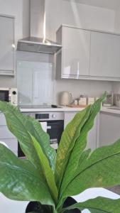 Afbeelding uit fotogalerij van Flat 8, Cupar Apartments. in Fife +4 foto's