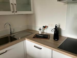 Kuchyň nebo kuchyňský kout v ubytování Apartment 23