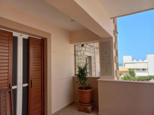 a balcony with a plant in a pot next to a window at Sophie's Sunny Spot 5 in Yéfira +7 photos