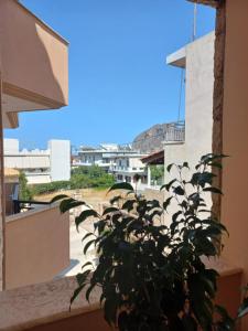 a plant in a balcony with a view of a building at Sophie's Sunny Spot 5 in Yéfira