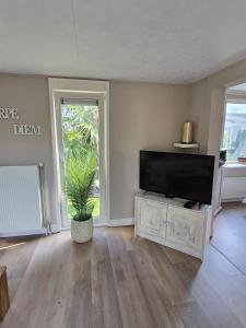 a living room with a television and a potted plant at Chalet Dune chaletpark krabbenkreek Sint Annaland in Sint Annaland +44 photos