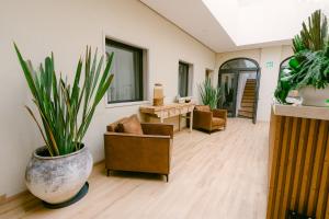 a living room with chairs and a table and plants at Crisol - Frente a la Parroquia de San Miguel Arcángel in San Miguel de Allende