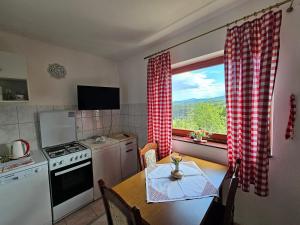 Η κουζίνα ή μικρή κουζίνα στο Guesthouse Loncar