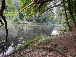 a body of water with trees and a river at Waldfloß Biberspur in Zieko