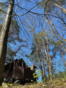 a truck parked in the middle of some trees at Waldfloß Biberspur in Zieko +2 photos