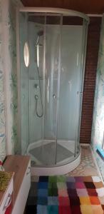 a shower with a glass enclosure in a bathroom at Urgemütliches Bungalow am See in Schwielochsee