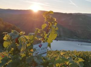 a sign for a us shutdown with a view of a lake at FeWo - EG Apartment Mosel- & Weinquartier, Terrasse, Parkplatz, moderne Küche bis 4 Personen in Piesport +21 photos